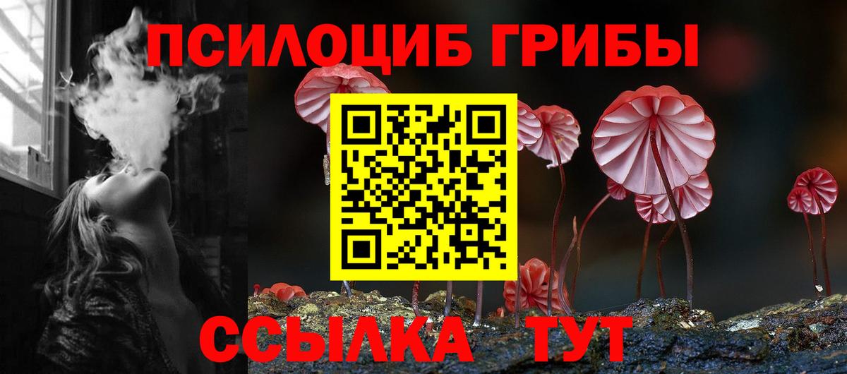 Псилоцибиновые грибы Psilocybine cubensis  Вход с VPN  Первоуральск 